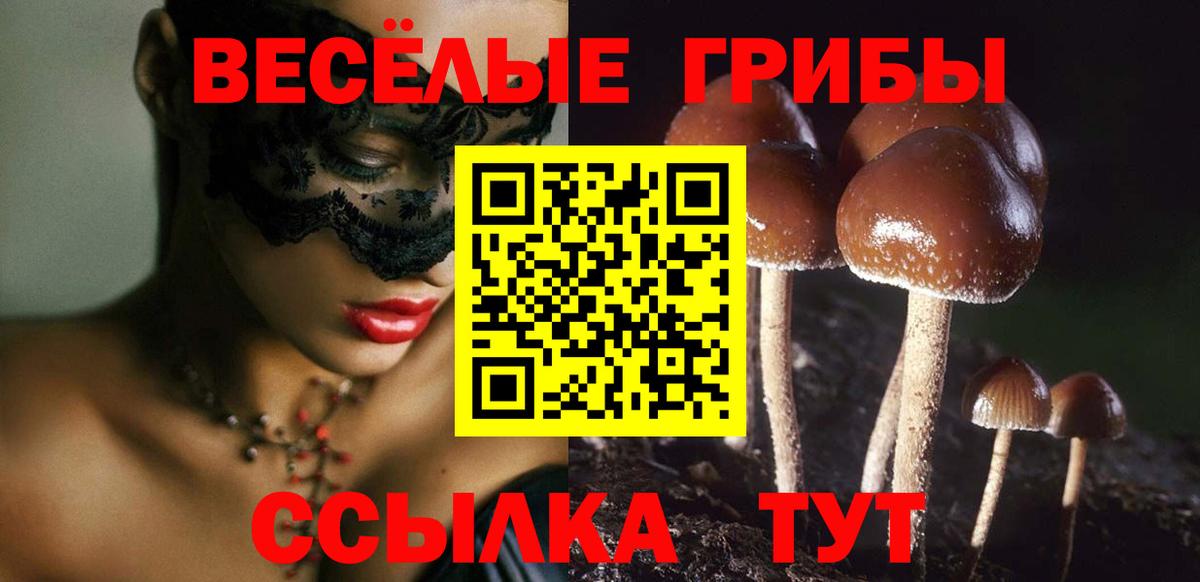 Тимашёвск  Галлюциногенные грибы ЛСД  Вход с VPN 
